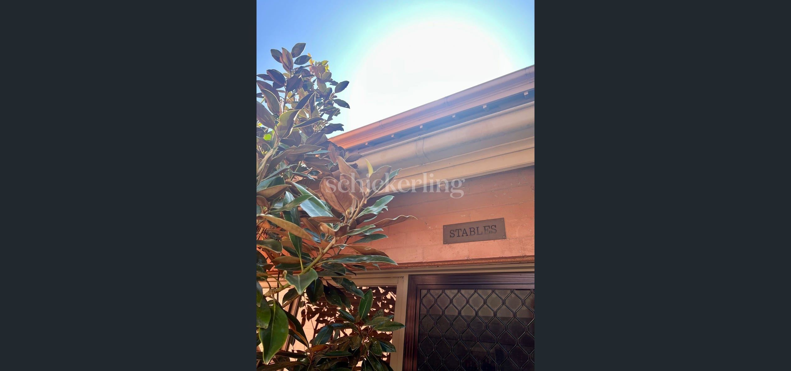 image6 (1)